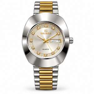 Blue Signature Men's Two-Tone Silver & Gold Quartz Watch with Day-Date Display
