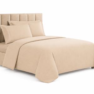 Cannon Comf Single 3Pc St-Dt-Tx L.Beige  MS Department Store Oman
