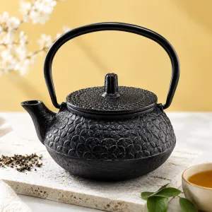 Black Cast Iron Teapot MS Department Store Oman