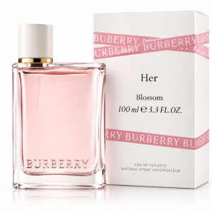 Burberry Classic Edp 100 Ml (Women) MS Department Store Oman