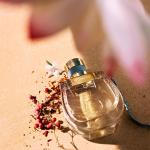 Chloe Nomade Lumiere D'Egypte Edp-50Ml (Women) MS Department Store Oman