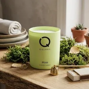 Moss Candle-120Gr MS Department Store Oman
