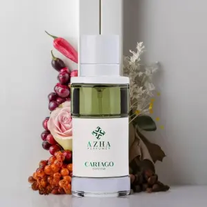 Cartago Edp For Him-100Ml (Men) MS Department Store Oman