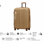 SONADA ABS & WHEELS TROLLEY 25 CHAMPAGNE