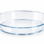 Elite Houseware Large Glass Bowl MS Department Store Oman