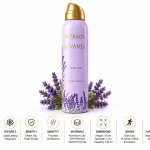 Nurxos Lavanta Deodorant 150 Ml