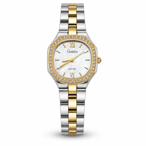 Ceshdun Elegant Two-Tone Crystal Bezel Women’S Wrist Watch MS Department Store Oman