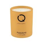 Poppyland Candle-120Gr MS Department Store Oman