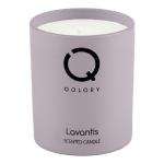 Lavantis Candle-120Gr MS Department Store Oman