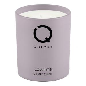 Qolory Lavantis Candle 120Gr MS Department Store Oman
