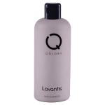 Lavantis Hair Shampoo-400Ml MS Department Store Oman