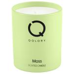 Moss Candle-120Gr MS Department Store Oman