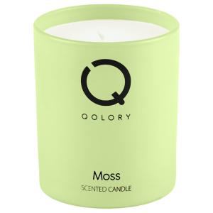 Qolory Moss Candle 120Gr MS Department Store Oman