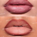 Sheglam Lip Facts Lip Liner-Misty Rose MS Department Store Oman