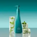Anti-Dandruff Shampoo  MS Department Store Oman