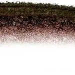 Rimmel Brow This Way Palette -(Dark) MS Department Store Oman