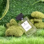 Bergamot And Patchouli EDP-100Ml MS Department Store Oman