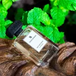 Mint & Wood EDP-100Ml MS Department Store Oman