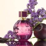 Jimmy Choo Fever Edp-100Ml (Women) MS Department Store Oman