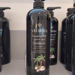 Coconut Conditioner MS Department Store Oman