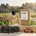 Burberry  Hero Edt-100Ml MS Department Store Oman