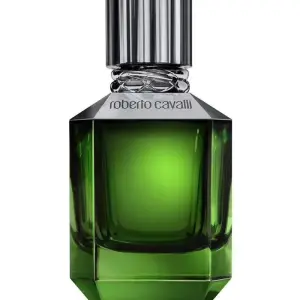 Roberto Cavalli Paradise Found EDT-75ml (Men) MS Department Store Oman