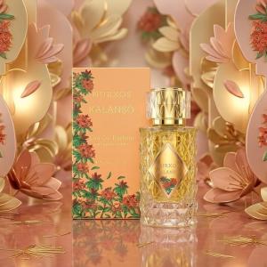 Eau De Parfum Nurxos Kalanso-65Ml MS Department Store Oman