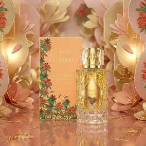 Eau De Parfum Nurxos Kalanso-65Ml MS Department Store Oman