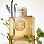 Burberry Gold Intense Edp-100Ml (Women) MS Department Store Oman