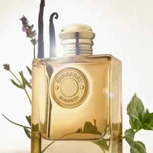 Burberry Gold Intense Edp-100Ml (Women) MS Department Store Oman
