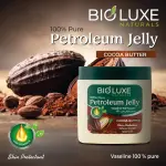 Cocoa Butter Petroleum Jelly-500Ml MS Department Store Oman
