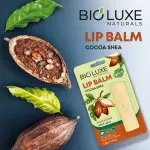 Lipbalm Cocoa Shea 1Pc (4.5G) MS Department Store Oman