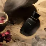 Dejan Edp-100Ml MS Department Store Oman