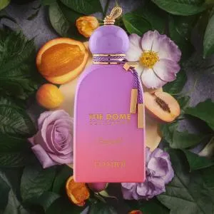Capitol - 100Ml MS Department Store Oman