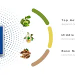 Khadlaj Karus Blue Spice MS Department Store Oman