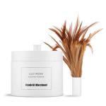 Lily Musk Scented Powder-170G MS Department Store Oman