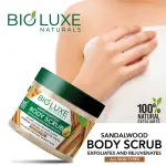 Sandalwood Body Scrub-500Ml MS Department Store Oman