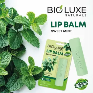 Lipbalm Sweet Mint 1Pc (4.5G) MS Department Store Oman