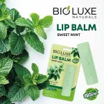 Lipbalm Sweet Mint 1Pc (4.5G) MS Department Store Oman