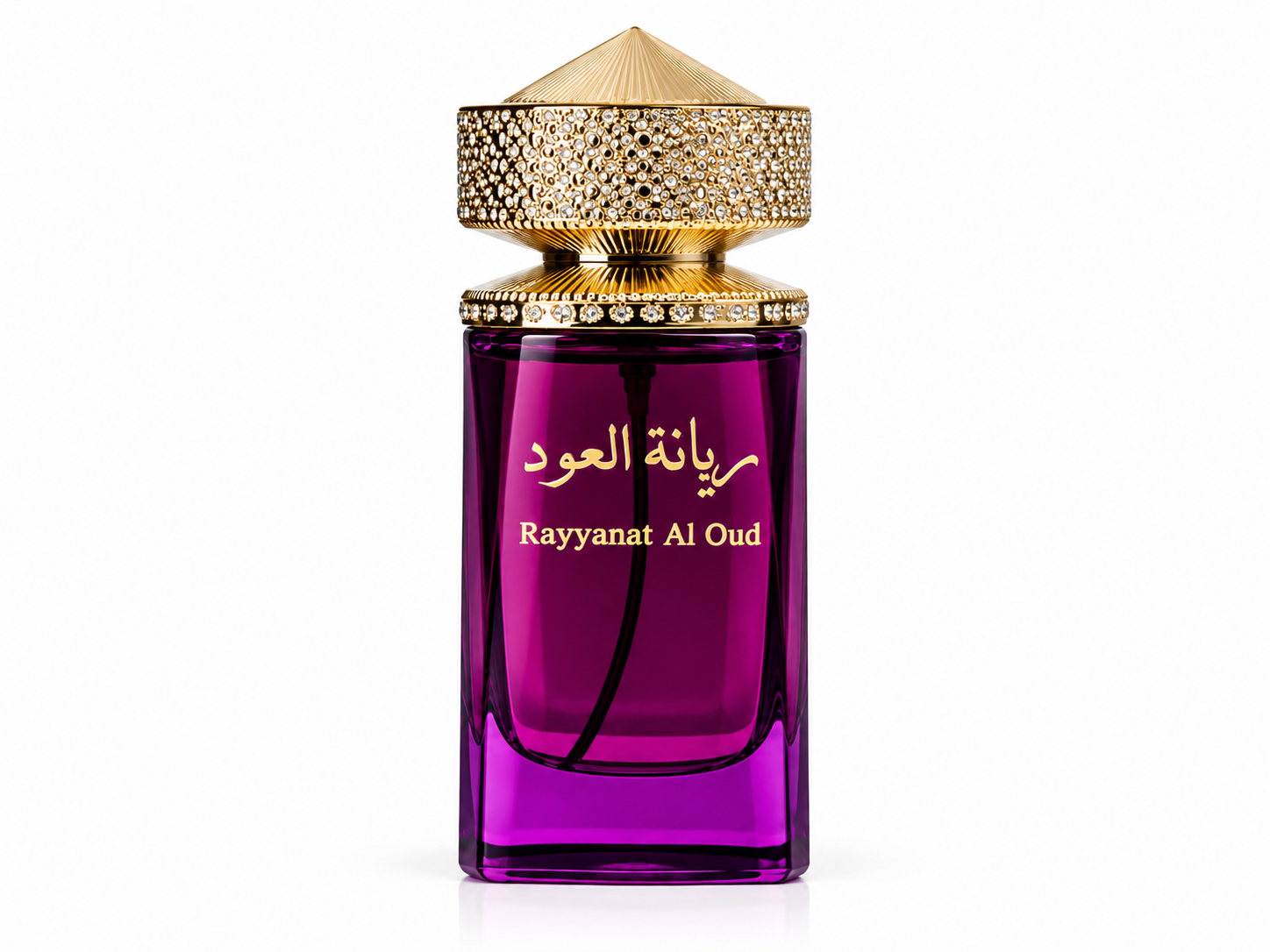 Private Perfumes Rayyanat Al Oud Edp-120Ml MS Department Store Oman